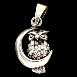 Owl. Symbol of Wisdom